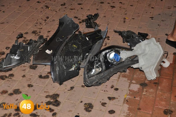 acc 7eshmona2em palmtree (21).JPG